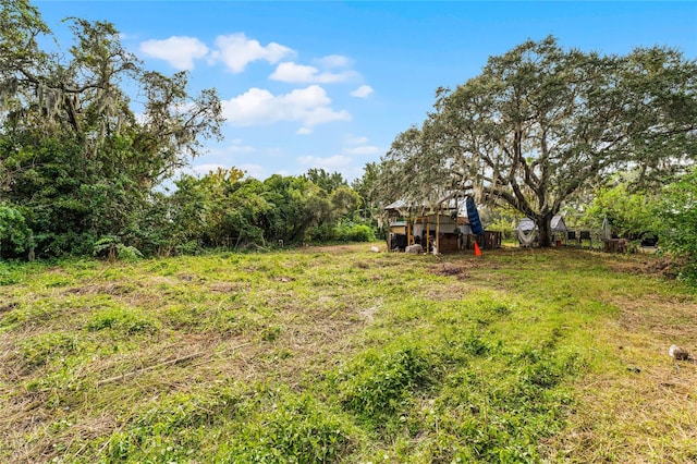 view of yard featuring a rural view