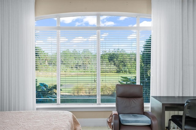 bedroom featuring multiple windows