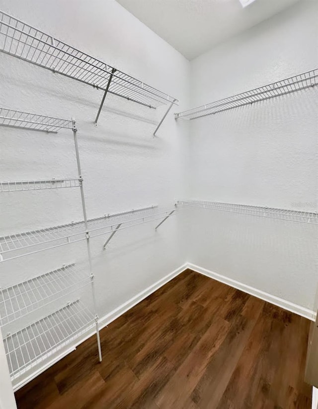 walk in closet featuring hardwood / wood-style flooring