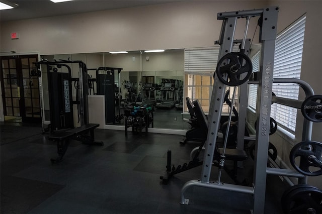 exercise room featuring plenty of natural light