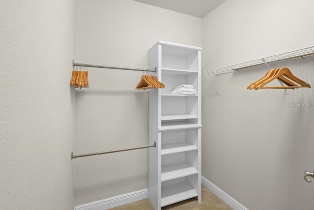 walk in closet featuring carpet flooring