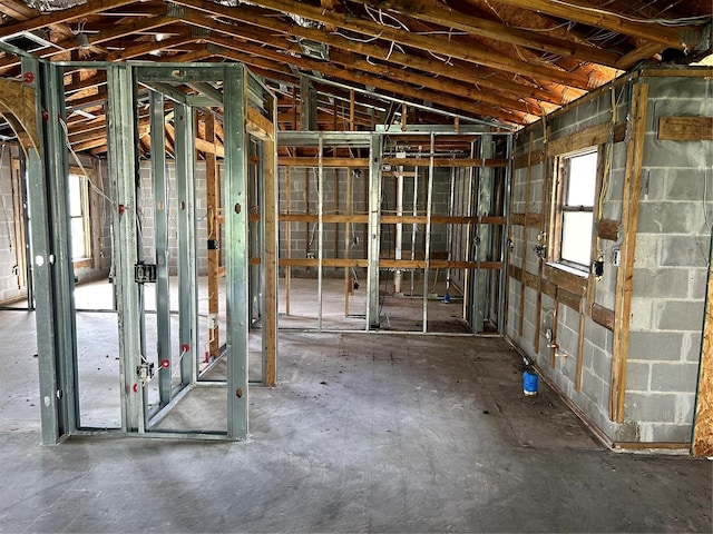 miscellaneous room with vaulted ceiling