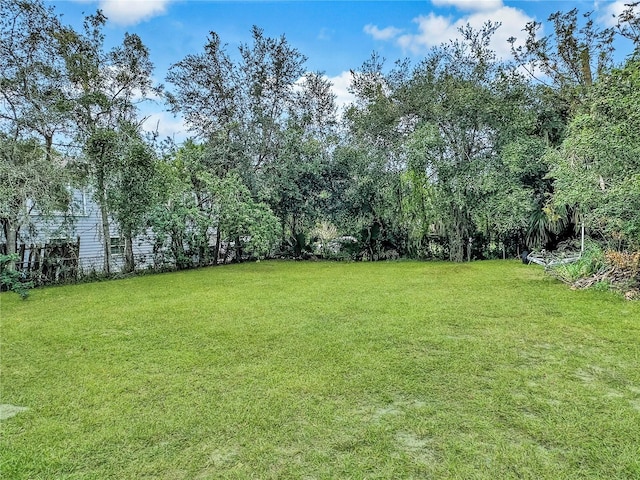 1904 Historic Goldsboro Blvd, Sanford, FL 32771 - view of yard
