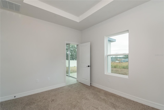 empty room featuring light carpet and a raised ceiling