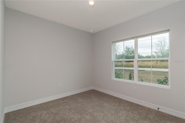 empty room featuring carpet