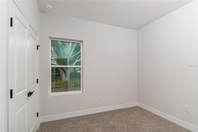 spare room with carpet and a wealth of natural light