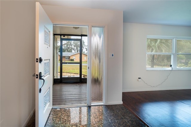 foyer featuring a healthy amount of sunlight and dark hardwood / wood-style flooring