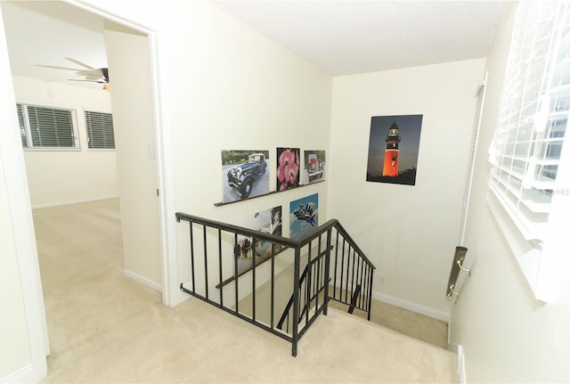 staircase with ceiling fan and carpet floors