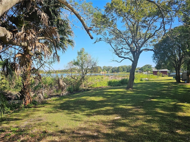 4715 Beach Blvd, Orlando, FL 32803 - photo 9