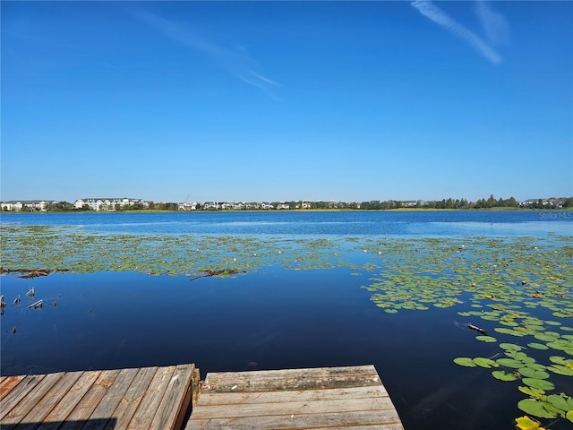 4715 Beach Blvd, Orlando, FL 32803 - photo 14
