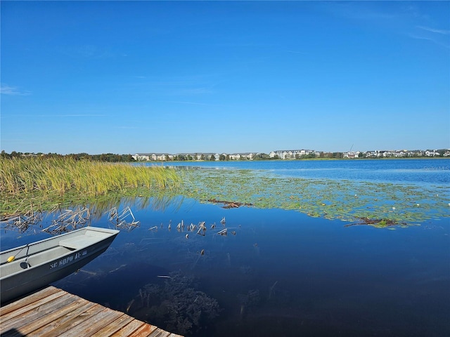 dock area with a water view