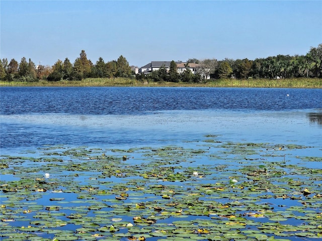 property view of water