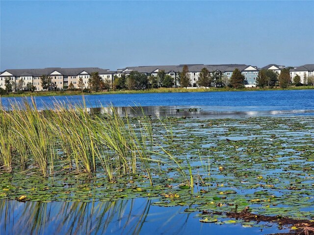 4715 Beach Blvd, Orlando, FL 32803 - photo 17