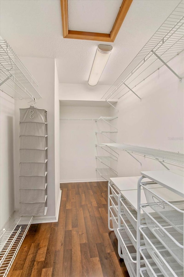 spacious closet with dark hardwood / wood-style flooring