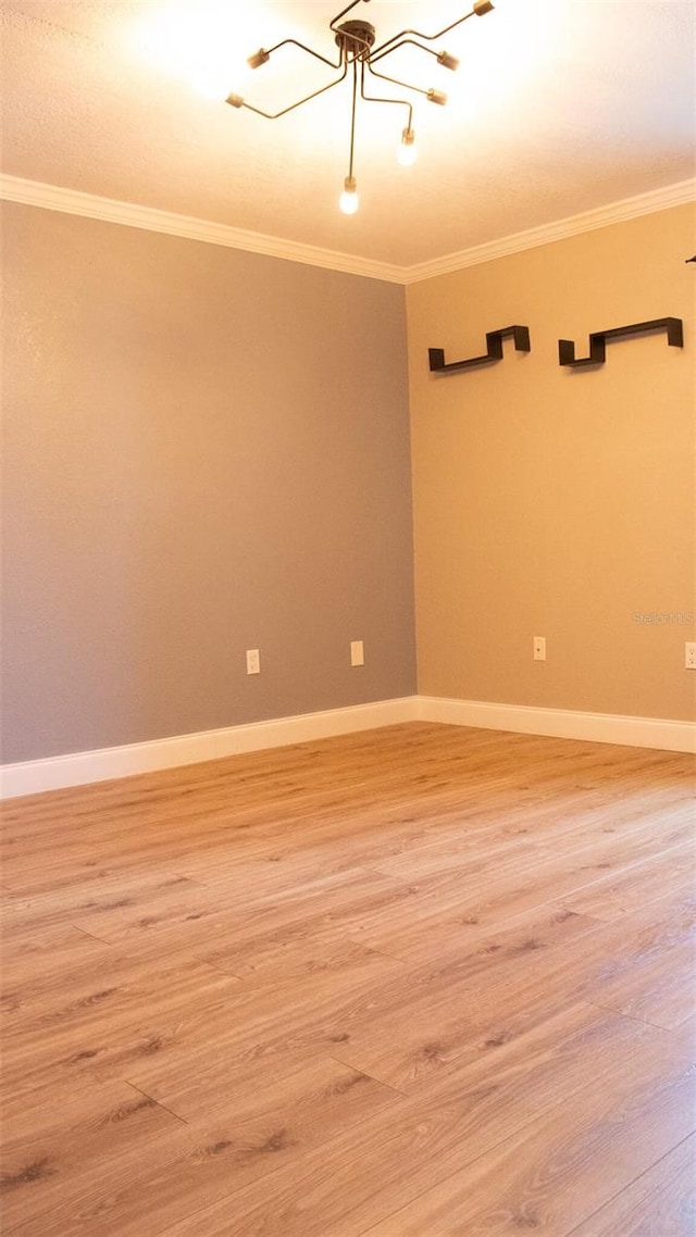 spare room featuring hardwood / wood-style floors and crown molding