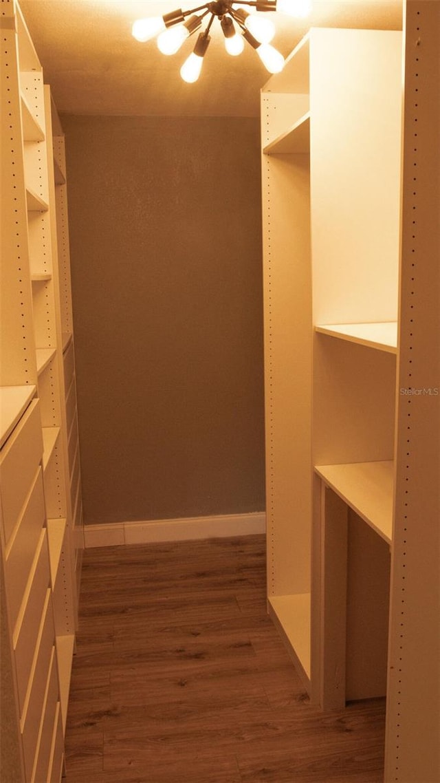 spacious closet featuring dark wood-type flooring