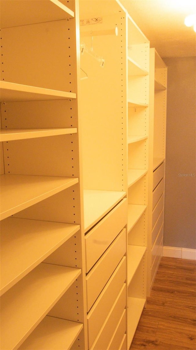 walk in closet with hardwood / wood-style floors