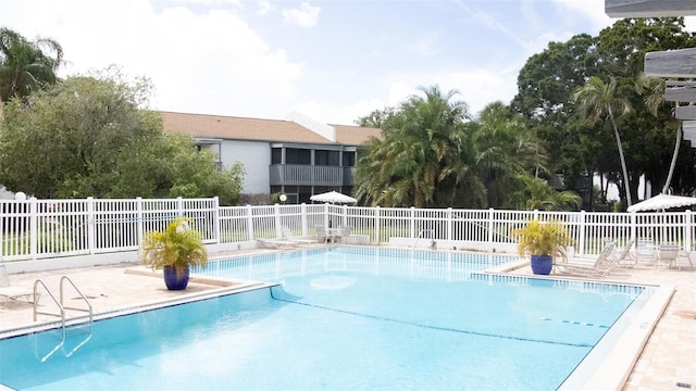 view of swimming pool