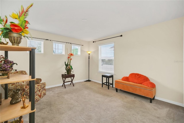 living area with light colored carpet