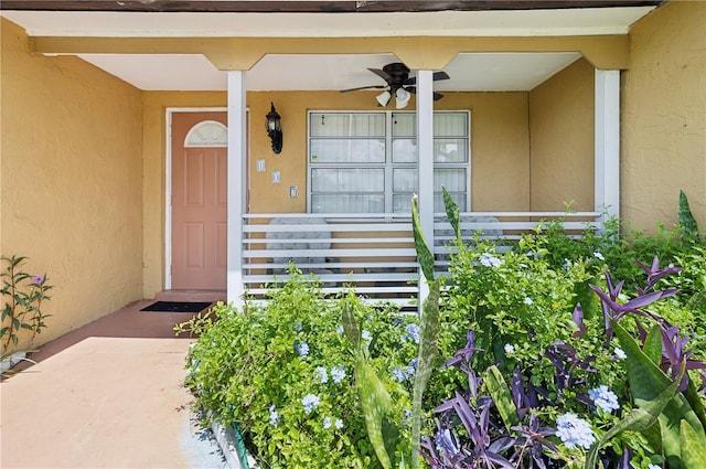 view of exterior entry with a porch and ceiling fan