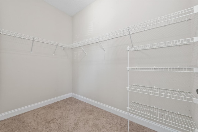 spacious closet with carpet flooring