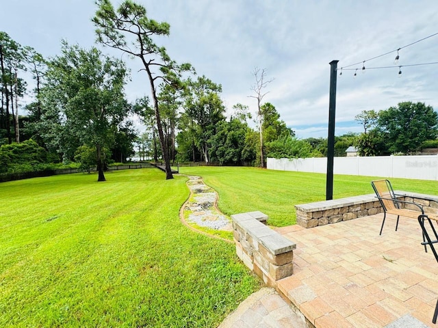 view of yard with a patio