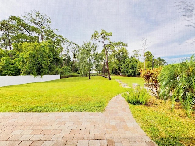 view of home's community with a yard