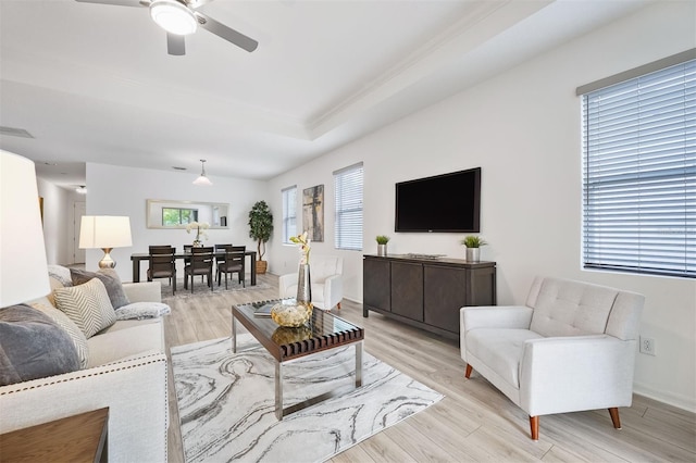 living room featuring ceiling fan, a raised ceiling, and light wood-type flooring