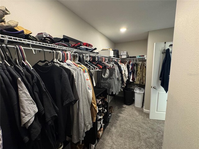 walk in closet featuring carpet flooring