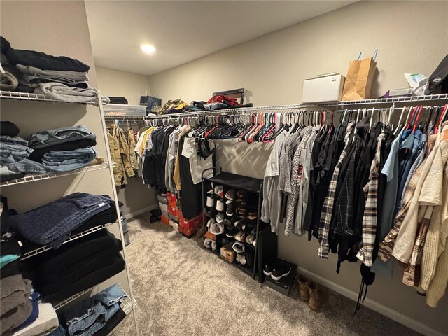 walk in closet featuring carpet floors