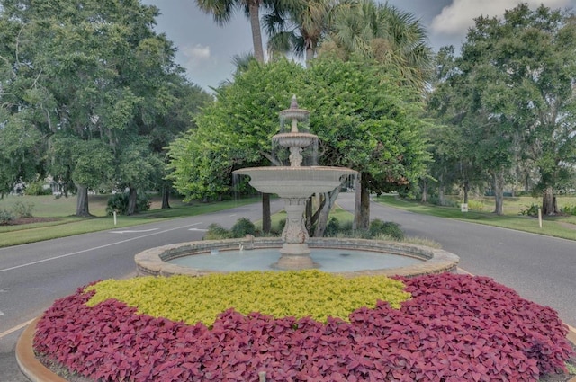 4538 Nottoway Dr, Leesburg, FL 34748 - view of home's community