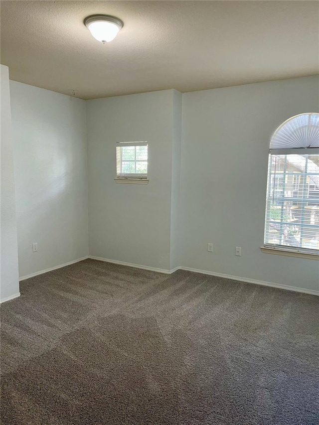 unfurnished room with carpet