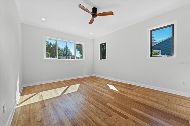 1333 W Smith St, Orlando, FL 32804 - photo 89