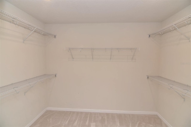 spacious closet with carpet