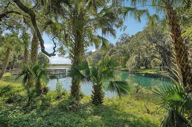 view of water feature