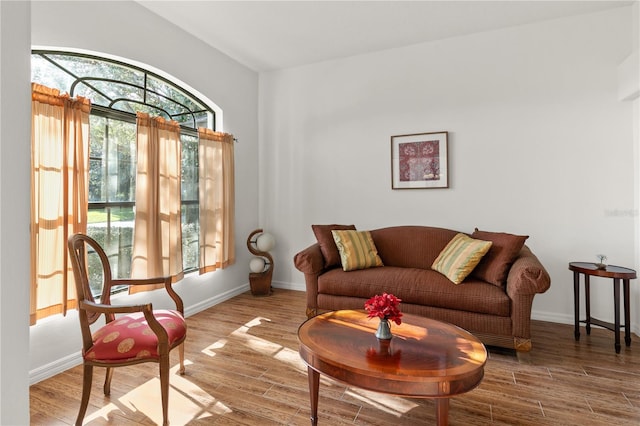 sitting room featuring a healthy amount of sunlight, baseboards, and wood finished floors