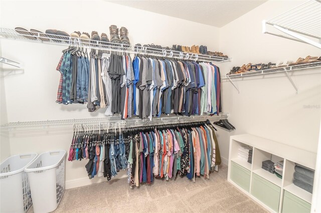 walk in closet featuring carpet flooring