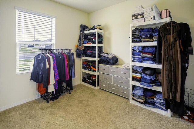 spacious closet with light carpet