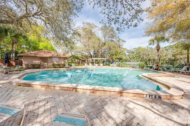 view of swimming pool featuring a patio area