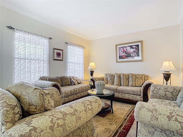 living room featuring crown molding