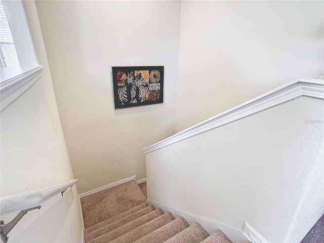 staircase with carpet