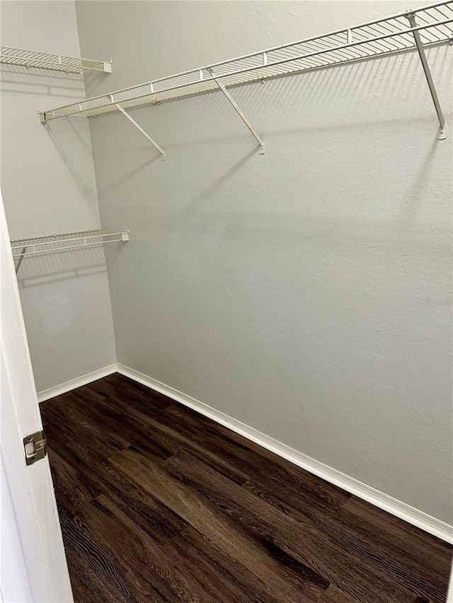 walk in closet with wood-type flooring