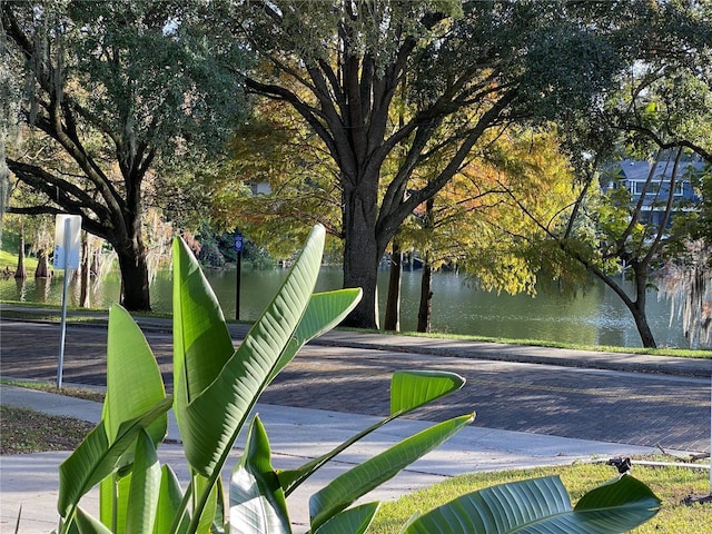 surrounding community featuring a water view