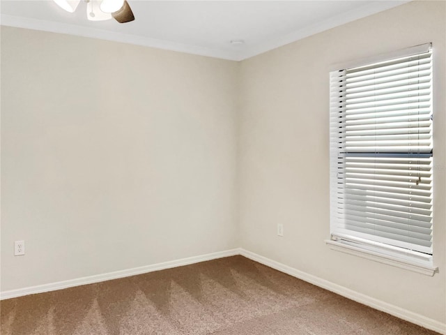 unfurnished room featuring crown molding, carpet flooring, and ceiling fan