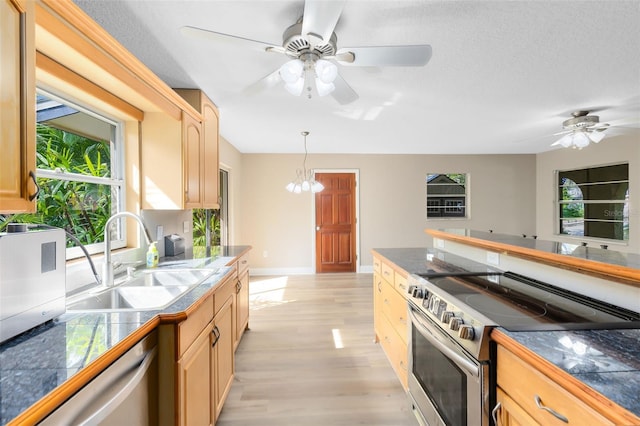 kitchen featuring light hardwood / wood-style flooring, stainless steel appliances, sink, and light brown cabinets