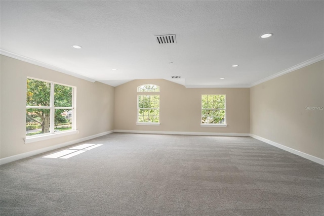 carpeted empty room featuring crown molding