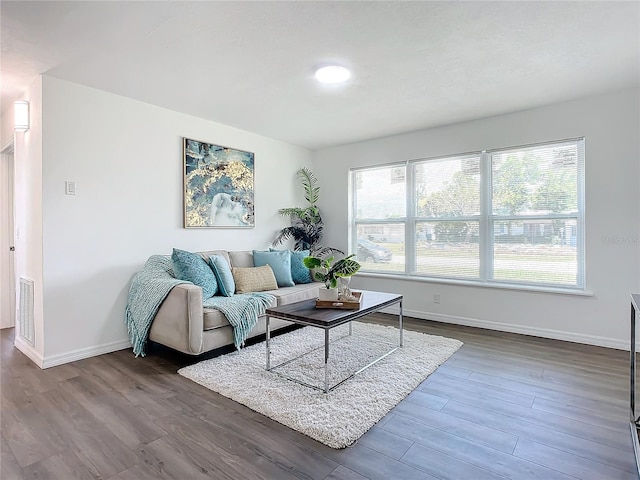 living room featuring hardwood / wood-style flooring