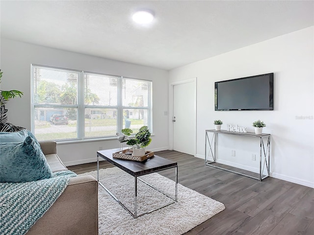 living room featuring dark hardwood / wood-style flooring