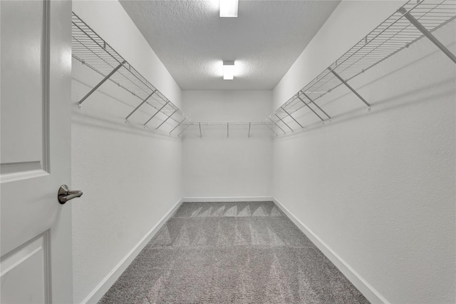 spacious closet with carpet flooring