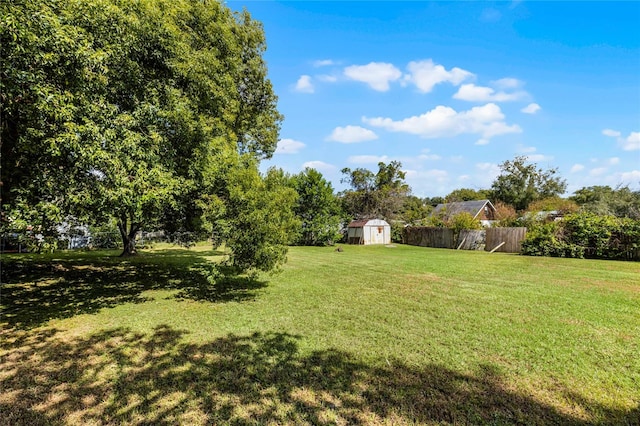 view of yard featuring a storage shed